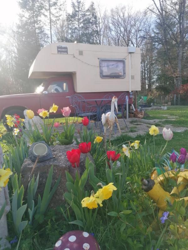 Le Pick Up 403 Vintage Hotell Oradour-sur-Glane Eksteriør bilde